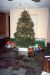 1990-12-25, 165, Christmas Tree, Dingmans Ferry, PA