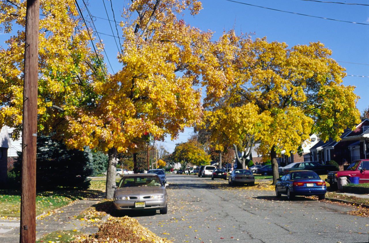 2004-10-30, 006, Taggart Way, Saddle Brook, NJ
