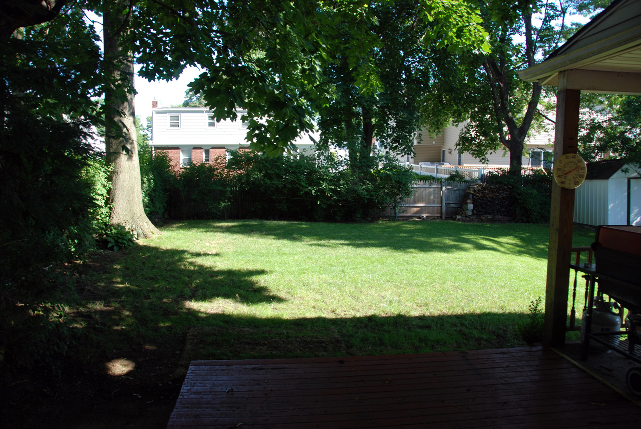 House, back yard left 01