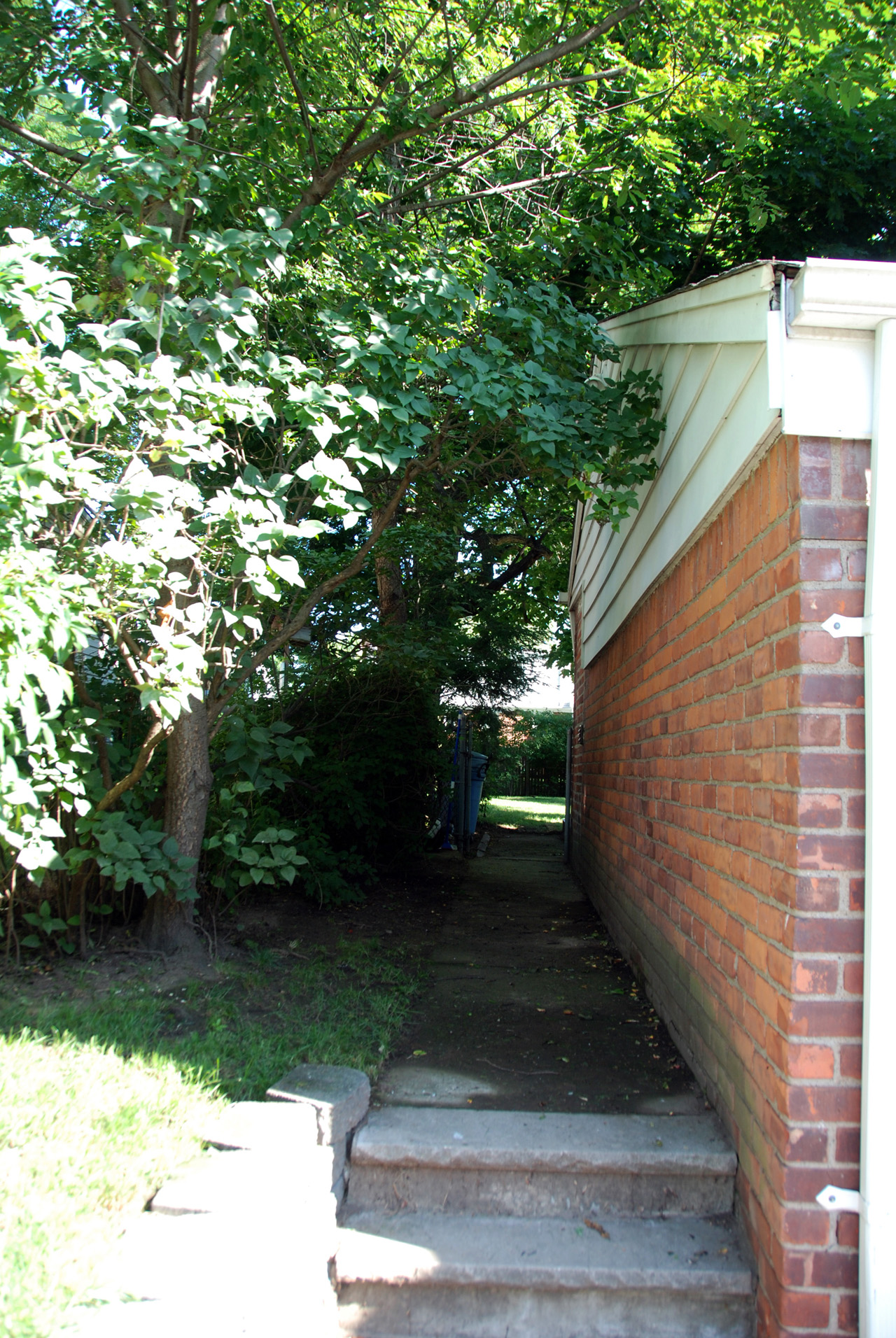 House, walkway 02
