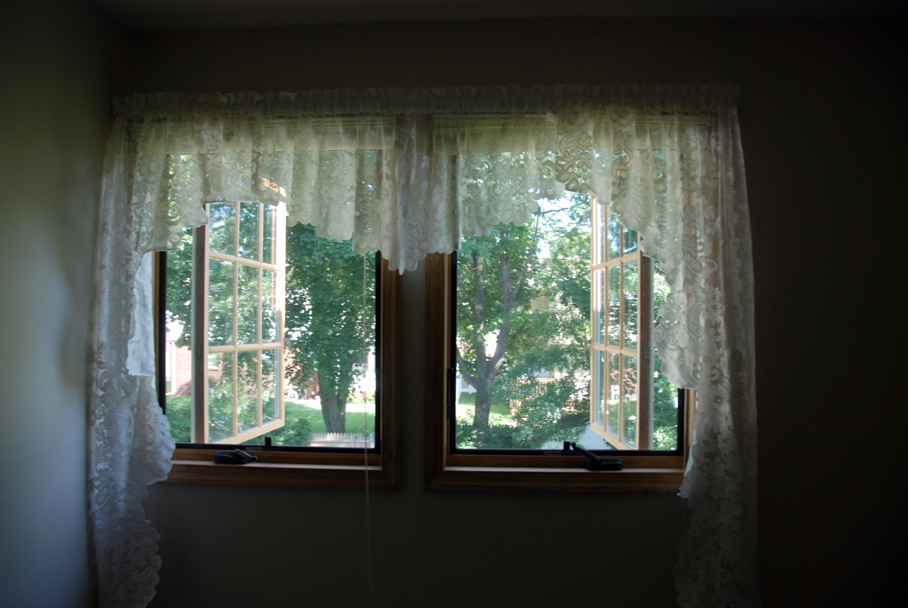 Spare bedroom window 03