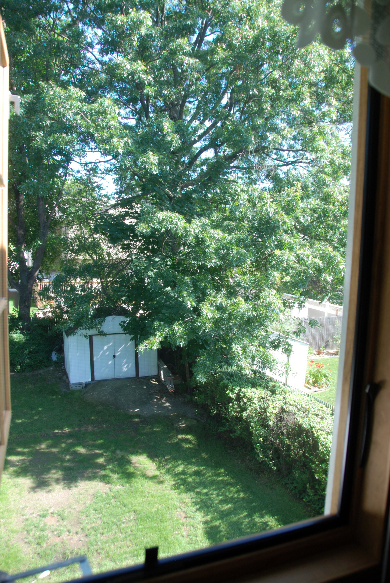 Spare bedroom window 05