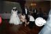 89-11-00, 28, Gene's Wedding