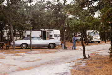 1977-11-24, 006, Diana & Georgia, Cape Cod, MA
