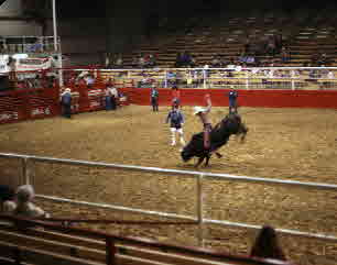 1983-01-15, 025, Gilley's Rodeo Texas