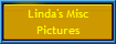 Linda's Misc
Pictures